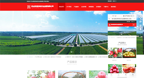 企業(yè)網(wǎng)站、程序軟件App解決方案