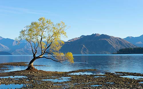 岳麓山生態水環境治理項目