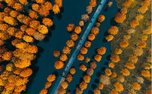 環保人的“六一+六五”